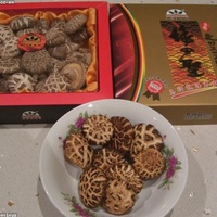 Shiitake Extrait Bio