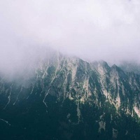 Canneberge Séchée Sans Sucre