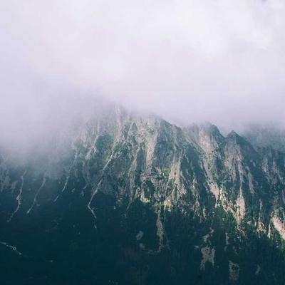 Canneberge Séchée Sans Sucre