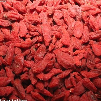 Baies de Goji Bio