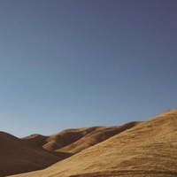 Poudre de Gingembre Bio