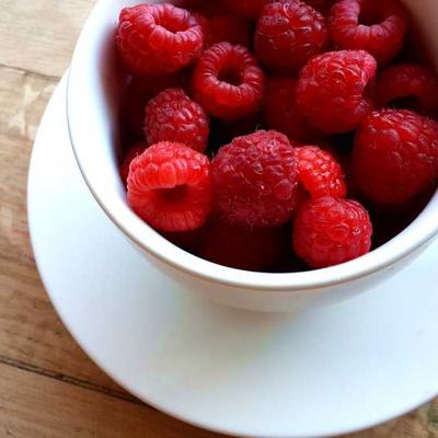 Kéfir de Lait en Grains