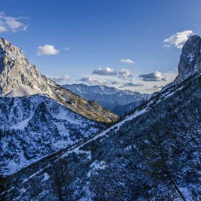 Gingembre Poudre