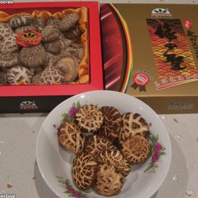 Shiitake Extrait Bio